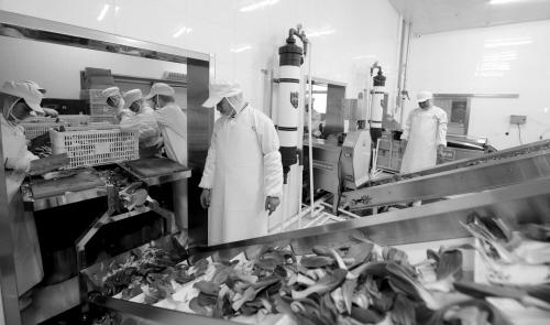 苏州厨具用品市场-中央厨房加工流程